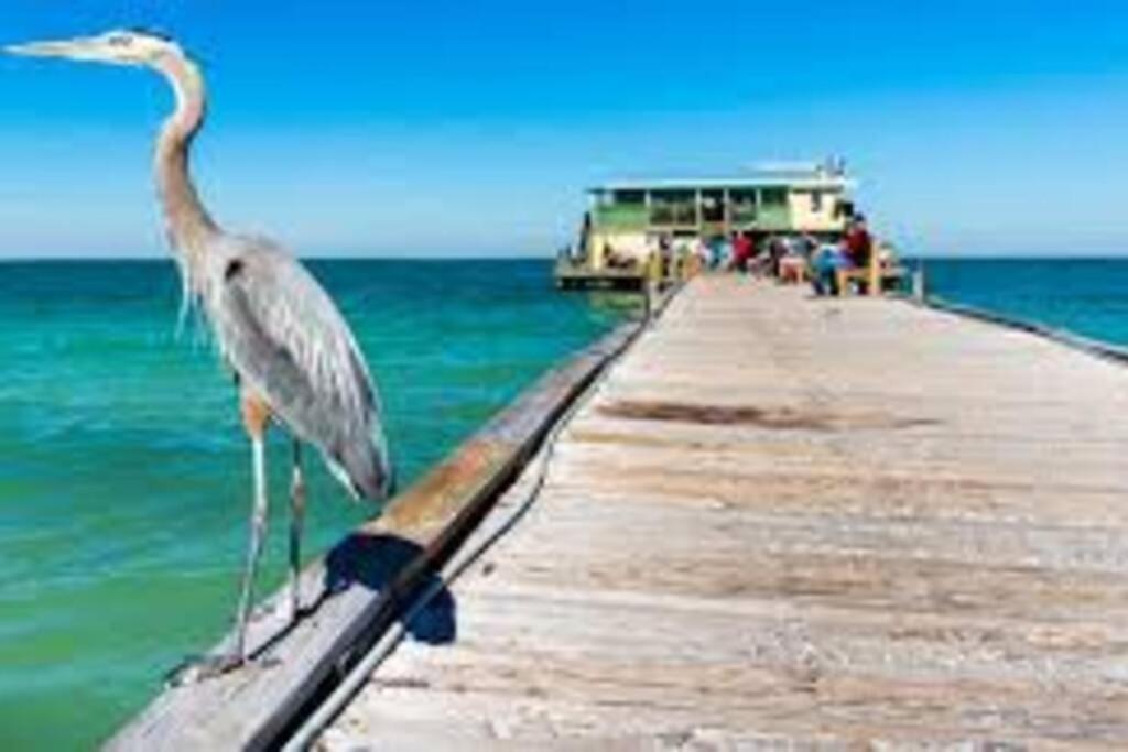 شقة Waterview Oasis Retreat, Minutes To Anna Maria Island And Img برادنتون المظهر الخارجي الصورة