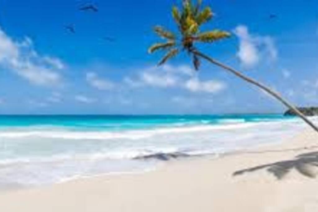 شقة Waterview Oasis Retreat, Minutes To Anna Maria Island And Img برادنتون المظهر الخارجي الصورة